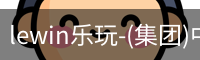 LEWIN乐玩